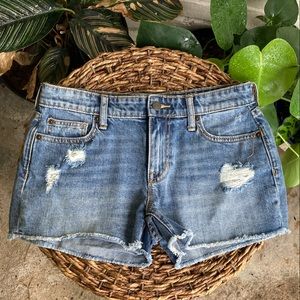GaD SEXY BOYFRIEND SHORT